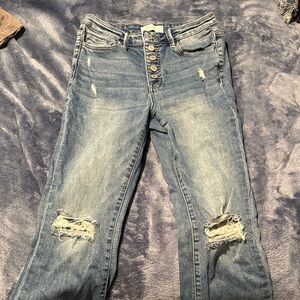 Vervet Distressed Blue Jeans